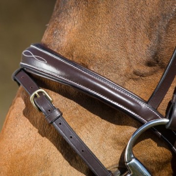 HFI hoofdstel Elegant