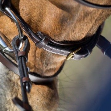 HFI hoofdstel Elegant