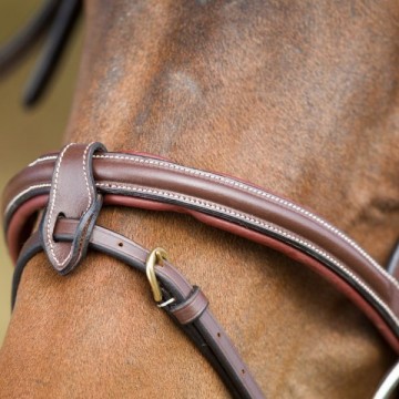 HFI hoofdstel Anatomic