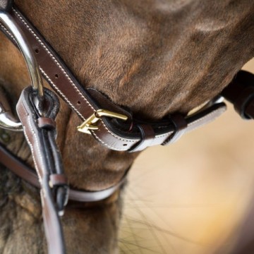 HFI hoofdstel Anatomic