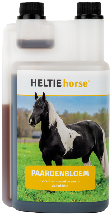Heltie horse paardenbloem