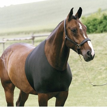 Horse Guard borstbeschermer