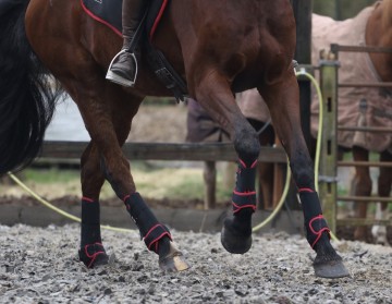 HUSK La Irenita || Air Zwart / rood