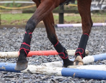 HUSK La Irenita || Air Zwart / rood