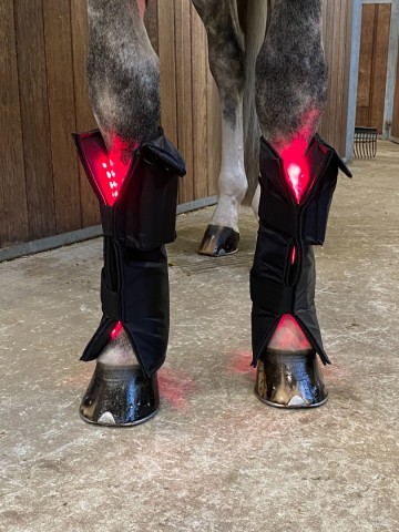 Equine LTS NEW Red Edition