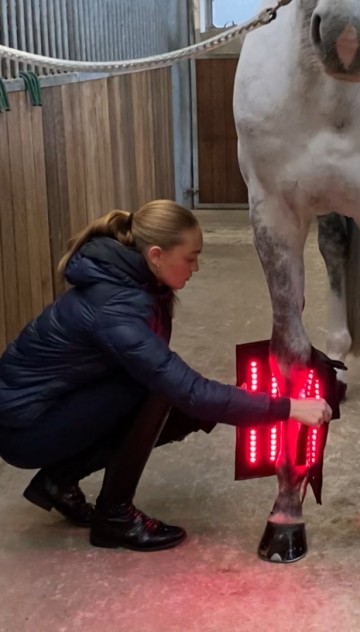 Equine LTS NEW Red Edition