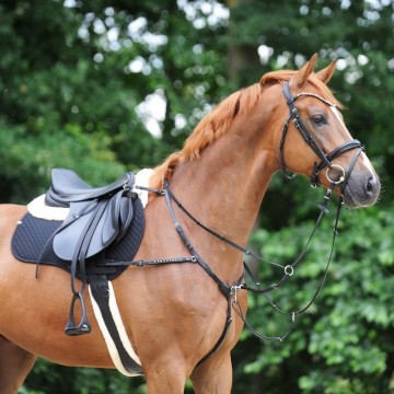 Kavalkade singel comfort foster3