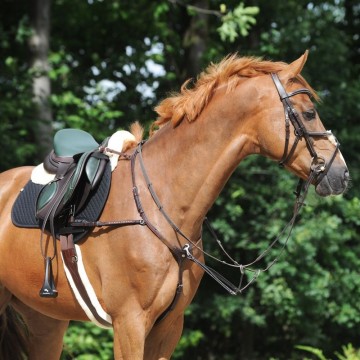 Kavalkade singel comfort foster7