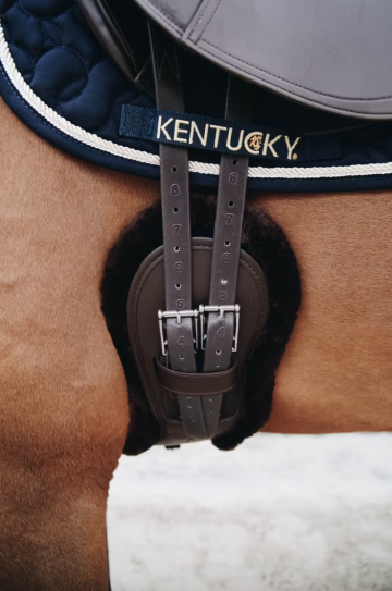 Kentucky anatomische dressuursingel2