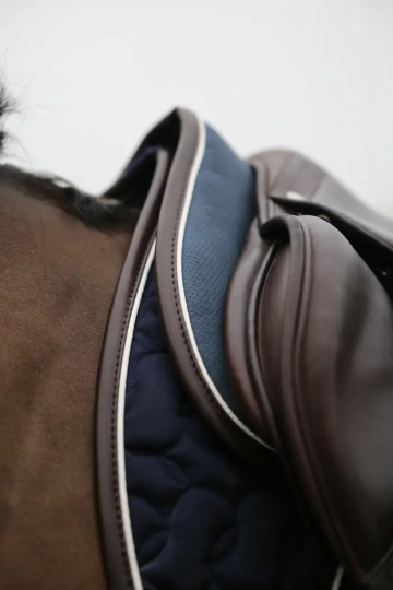 Kentucky halfpad absorb 2