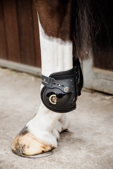 Kentucky kogelbeschermer moonboots elastic3