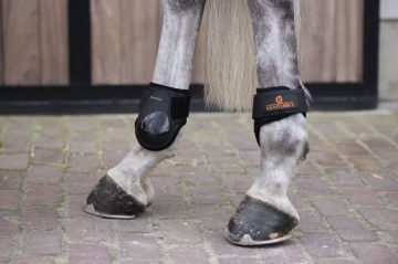 Kentucky kogelbeschermer young horse1