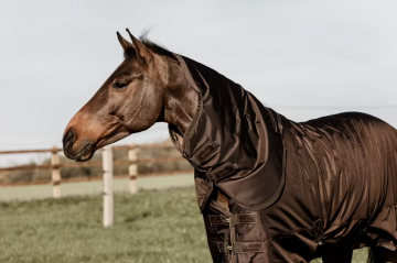 Kentucky turnout pro1