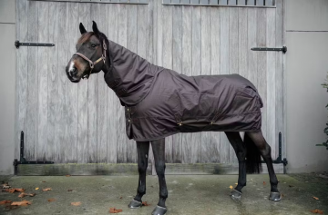 Kentucky turnout pro3