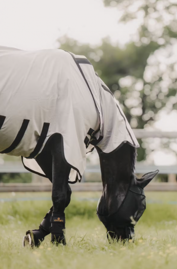 Kentucky vliegendeken