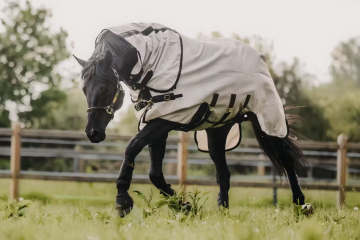 Kentucky vliegendeken