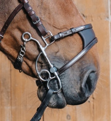 Lederen neusriem marco