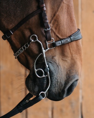 Otto hackamore combinatie bit lang