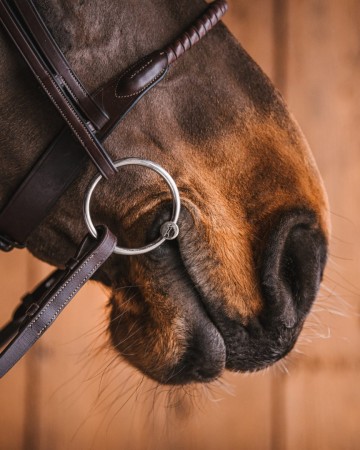 Watertrens GUSTAV met sweet iron