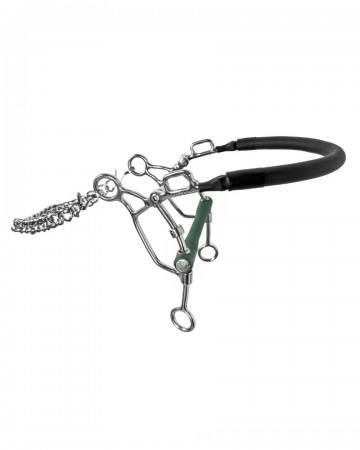 Fager combinatiebit Max
