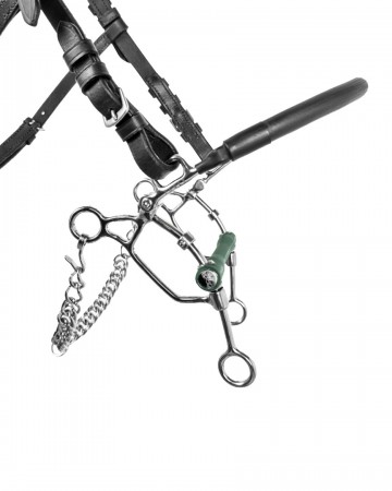 Fager combinatiebit Max