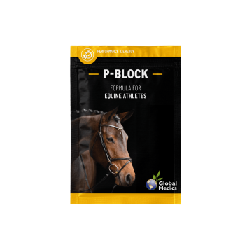 P blockzakje