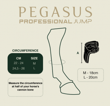 Pegasus jump hindboot