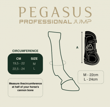Pegasus professional jump size chart