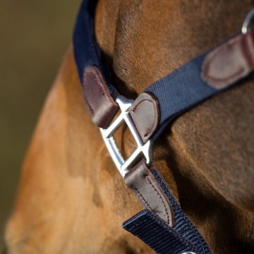 HFI halsterset Smart