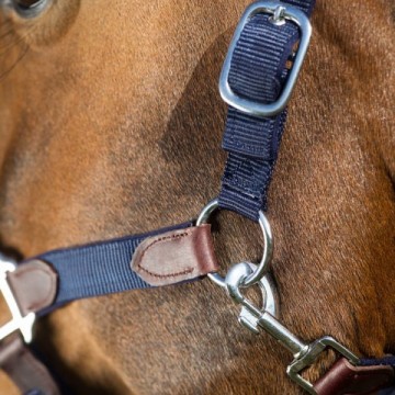 HFI halsterset Smart