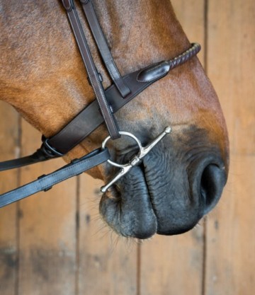 Kneveltrens JULIA met tongvrijheid
