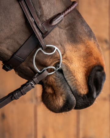 Fager beval JULIA met tongvrijheid