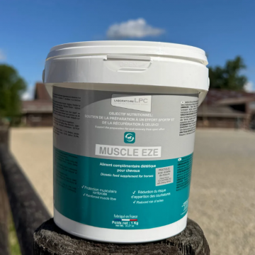 Schermafbeelding 2026 02 17 113405