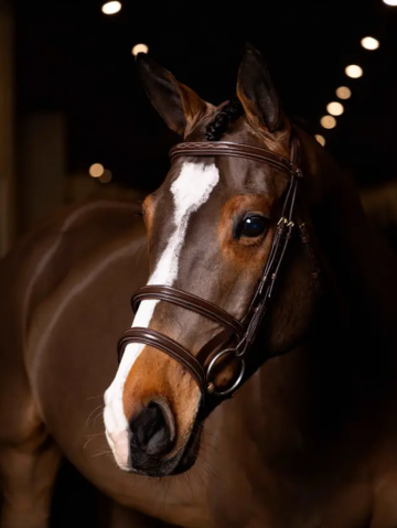 Le Mieux Kudos Double Noseband Bridle