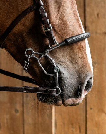Fager leren neusriem voor Max combibit
