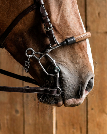 Fager leren neusriem voor Max combibit