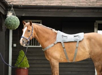 Equilibrium massage pad