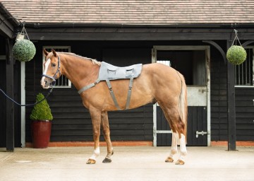 Equilibrium massage pad