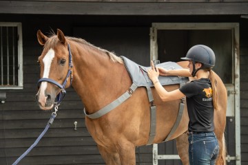 Equilibrium massage pad
