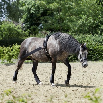 Trainingsband billen paard1