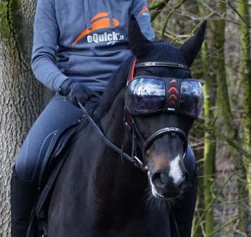 eQuick eVysor Transparant