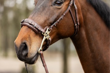 Trust sopot hackamore hoofdstel 1