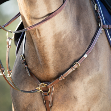 HFI lederen borsttuig zwart