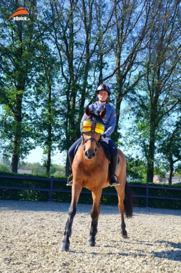 eQuick eVysor Mirrored Orange