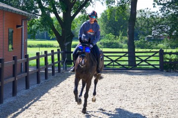 eQuick eVysor Mirrored Blue