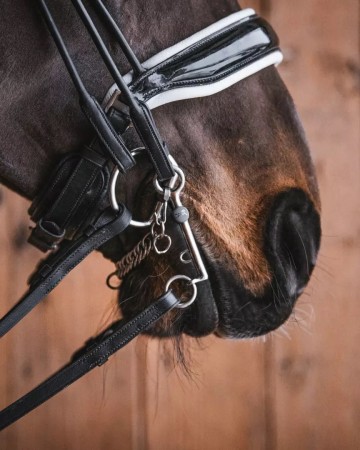 Fager titanium stang en trens