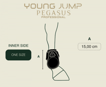 Young horse jump