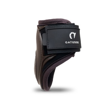 Gatusos Pegasus Young horse bruin