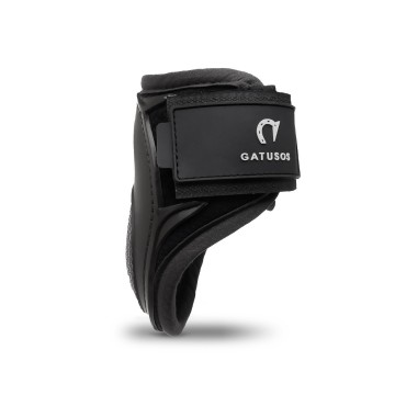 Gatusos Pegasus Young horse zwart